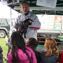 Fishers Mobile Farm @ Willow Trees Primary School, Salford